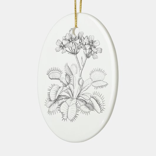 Venus Flyval  Botanical Ornament (Links)