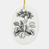Venus Flyval  Botanical Ornament (Voorkant)