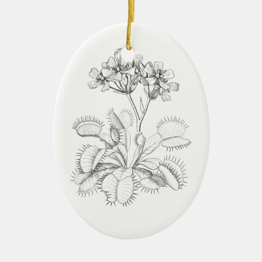 Venus Flyval  Botanical Ornament (Voorkant)