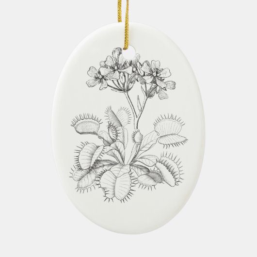 Venus Flyval  Botanical Ornament (Achterkant)