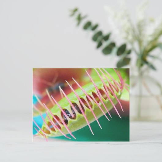 Venus Flyval Briefkaart (Staand voorkant)