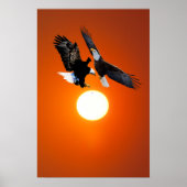 Venus in transito met adelaars poster (Voorkant)