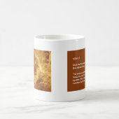 VENUS KOFFIEMOK (Center)