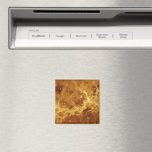 VENUS MAGNEET (Insitu (Vaatwasser))