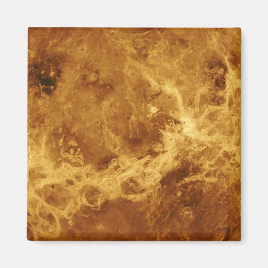 VENUS MAGNEET (Voorkant)