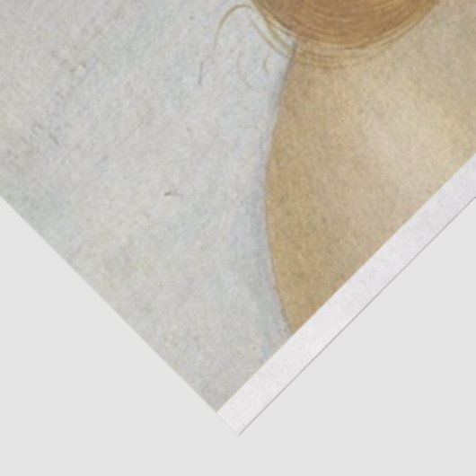 Venus-meubelpapier voor loskoppeling tissuepapier (Detail)