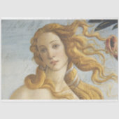 Venus-meubelpapier voor loskoppeling tissuepapier (Voorkant)