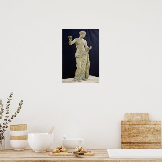 Venus of Arles Poster (Keuken)