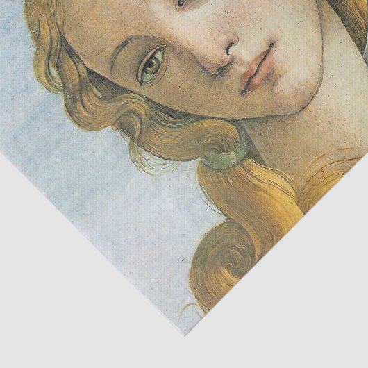 Venus-ontkoppeling Tissuepapier (Detail)