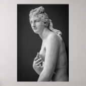 Venus Poster (Voorkant)