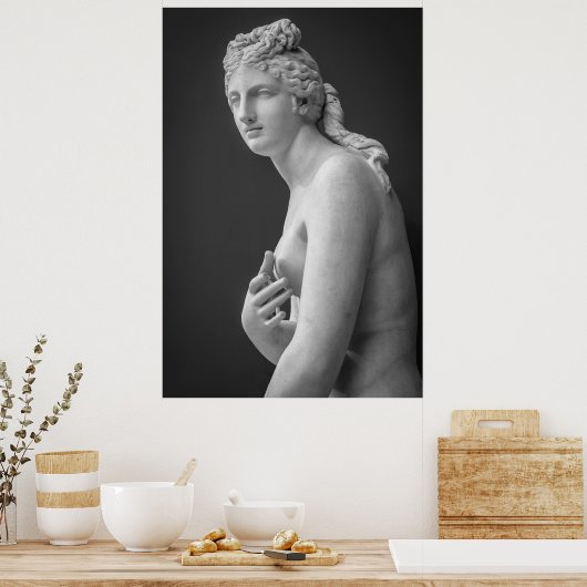 Venus Poster (Keuken)