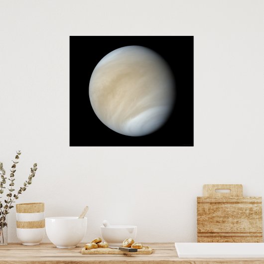 Venus Poster (Keuken)