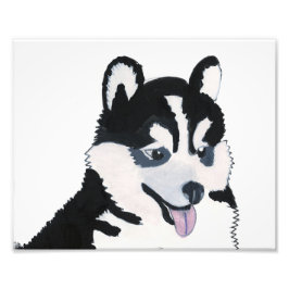 Venus Pup Print Foto Afdruk