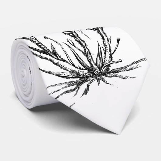 Venus Stropdas (Opgerold)