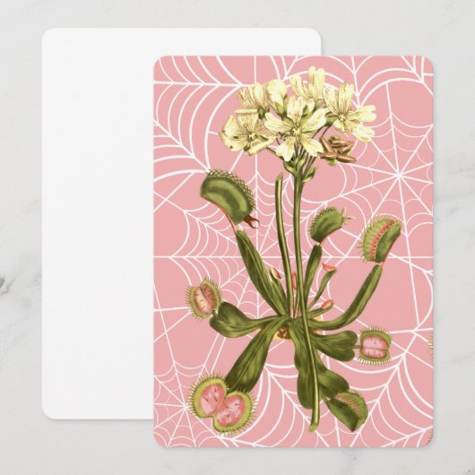 venus vliegenval bloemenspinnenweb kaart (Voorkant / Achterkant)