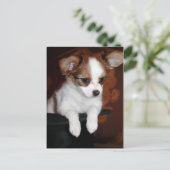 Venuspuppy Briefkaart (Staand voorkant)