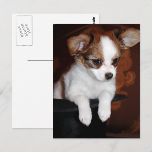 Venuspuppy Briefkaart (Voorkant / Achterkant)