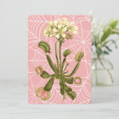 venusvliegenvanger bloemenspinnenweb kaart (Staand voorkant)