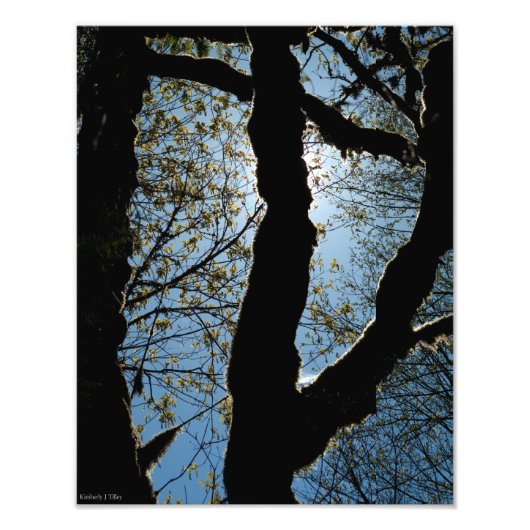 VER FOTO AFDRUK (Voorkant)