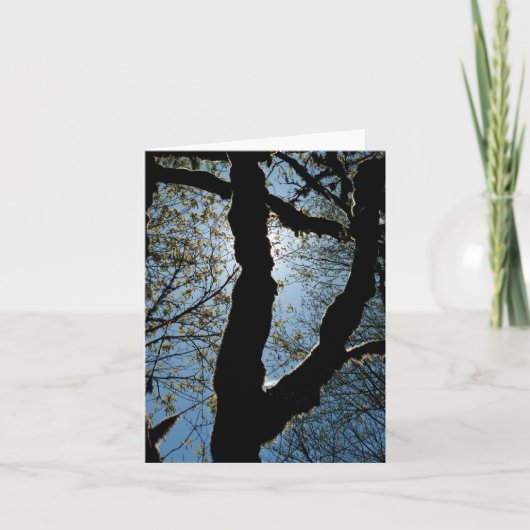 VER KAART (Voorkant)