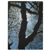 VER KLEMBORD (Achterkant)