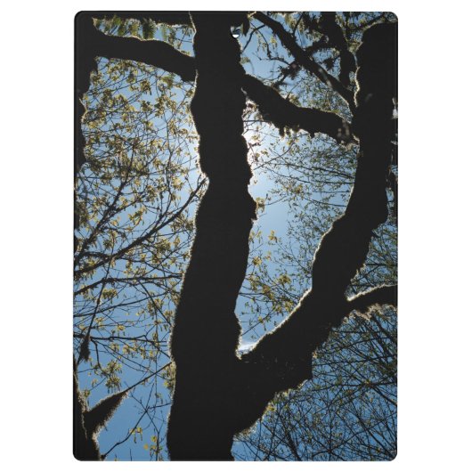 VER KLEMBORD (Achterkant)