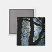 VER MAGNEET (Voorkant / Achterkant)