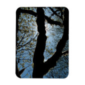 VER MAGNEET (Verticaal)