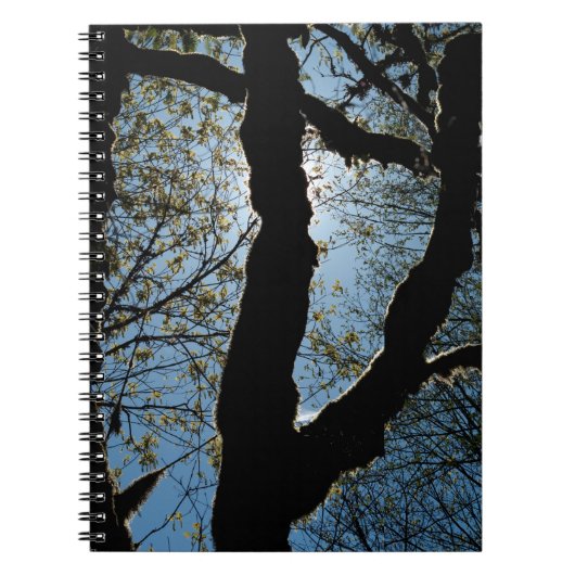 VER NOTITIEBOEK (Voorkant)