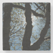 VER STENEN ONDERZETTER (Voorkant)