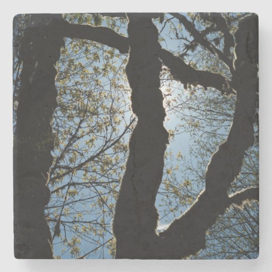 VER STENEN ONDERZETTER (Voorkant)