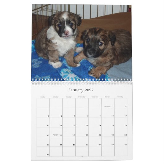 Vera en haar puppies kalender (Jan 2027)