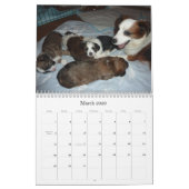 Vera en haar puppies kalender (Mar 2026)