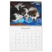 Vera en haar puppies kalender (Feb 2026)