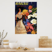 Veracruz Mexico Travel Poster (Keuken)