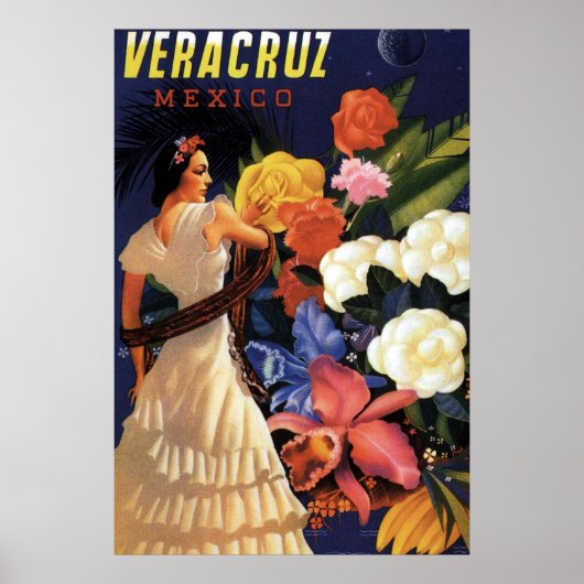  Veracruz Mexico Travel Poster (Voorkant)