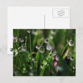 veranda rijstkwekerij briefkaart (Voorkant / Achterkant)