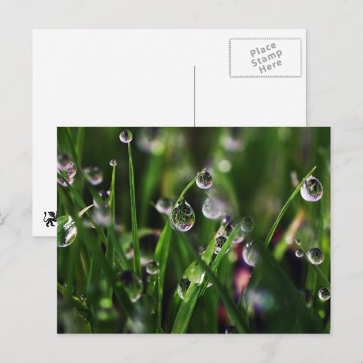 veranda rijstkwekerij briefkaart (Voorkant / Achterkant)