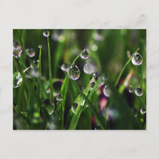 veranda rijstkwekerij briefkaart