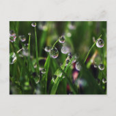 veranda rijstkwekerij briefkaart (Voorkant)