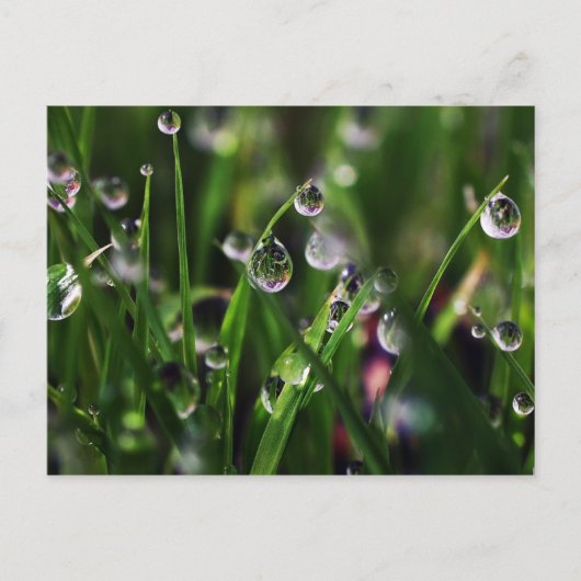 veranda rijstkwekerij briefkaart (Voorkant)