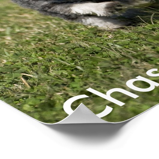 Verander je dromen. poster (Hoek)