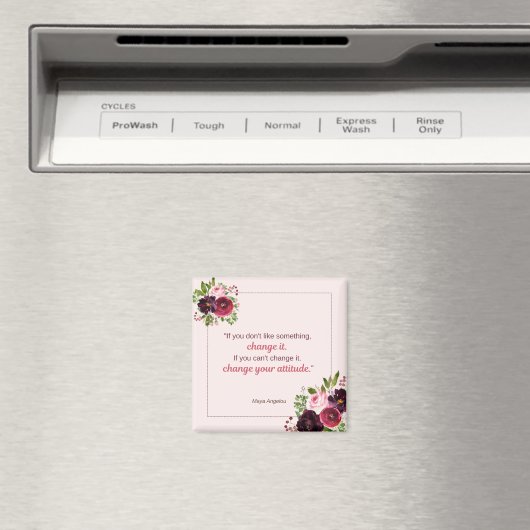 Verander uw Magnet van het Hoogtepunt (Insitu (Vaatwasser))