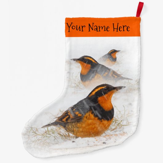 Veranderde borstels in de sneeuw grote kerstsok (Achterkant)