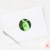 Veranderde Groene Maagd Maria Ronde Sticker (Envelop)