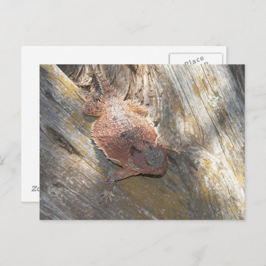 veranderde naam in "aardbei" briefkaart (Voorkant / Achterkant)