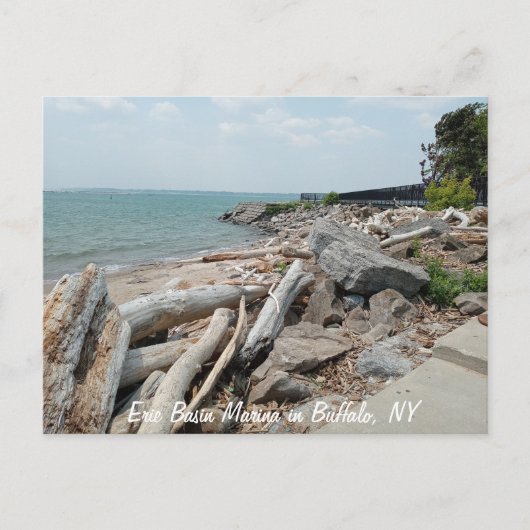 Veranderde pier bij Erie Basin Marina Briefkaart (Voorkant)