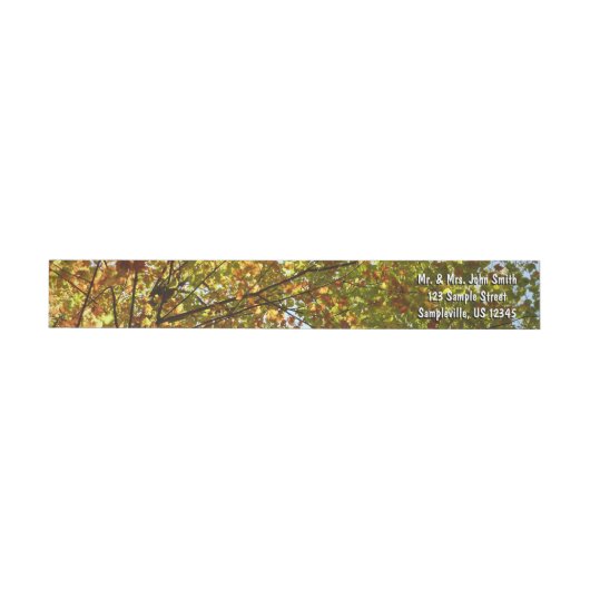 Veranderen Maple Tree Green en Gold Herfst Kleur (Individueel)