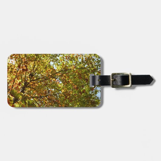 Veranderen Maple Tree Green en Gold Herfst Kleur Bagagelabel (Voorkant horizontaal)