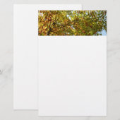 Veranderen Maple Tree Green en Gold Herfst Kleur Briefpapier (Voorkant / Achterkant)